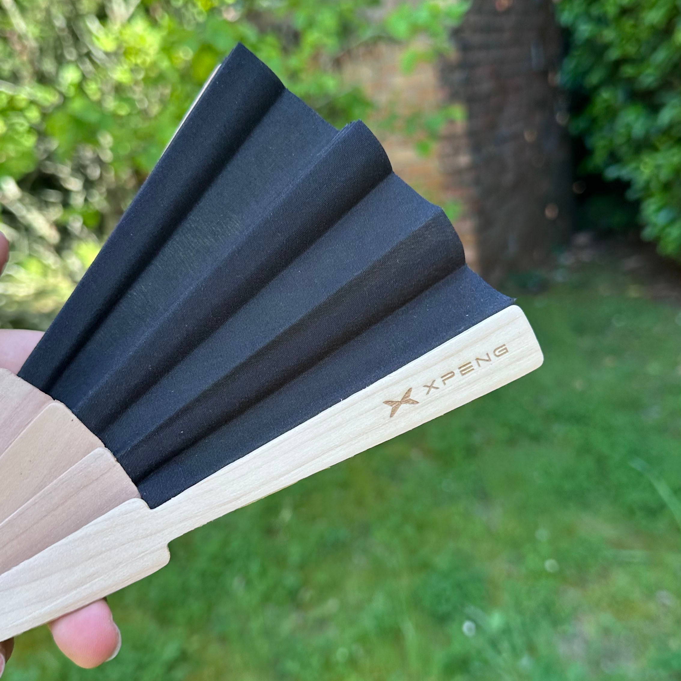 Éventail Black